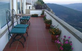 Casa Da Arvore
